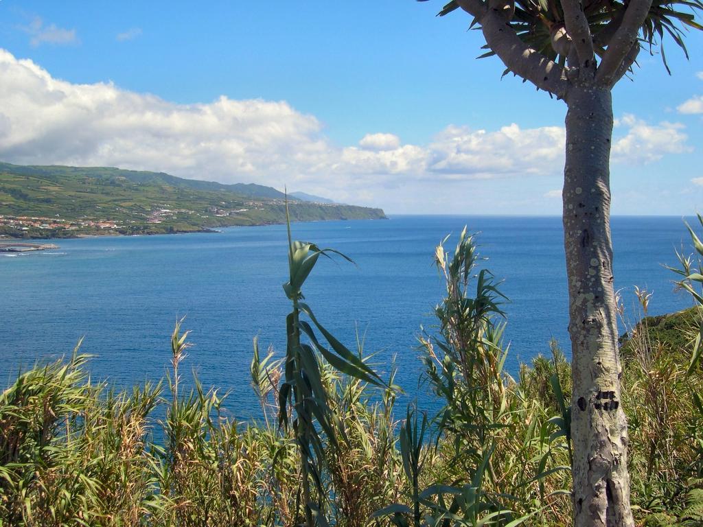 Vila Casa Quinta Do Marques Ponta Delgada Exteriér fotografie